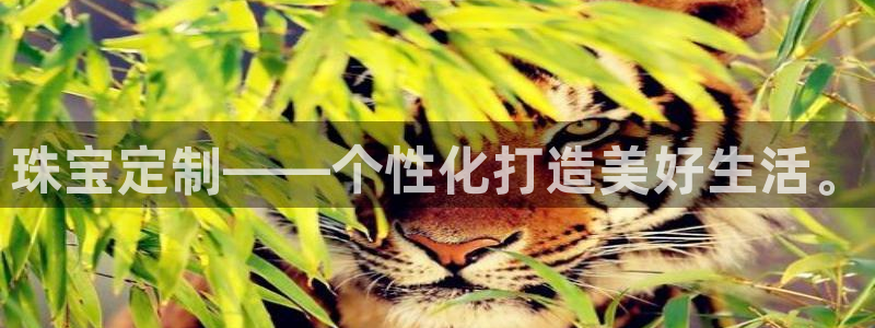 开丰娱乐优七九九47：珠宝定制——个性化打造美好生活。