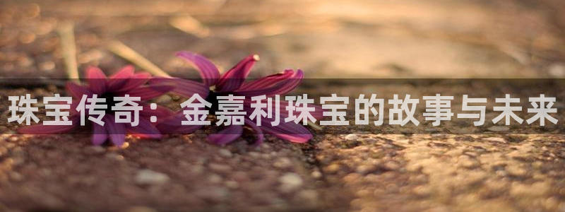 开丰娱乐月7O667