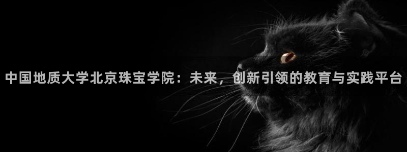 开丰娱乐网站：中国地质大学北京珠宝学院：未来，创新引领的教育与实践平台