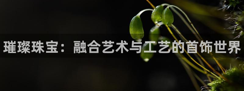 开丰娱乐予 7O935：璀璨珠宝：融合艺术与工艺的首饰世界