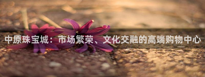 开丰娱乐登陆：中原珠宝城：市场繁荣、文化交融的高端购物中心