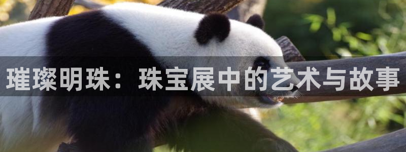 如何注册开丰娱乐账号：璀璨明珠：珠宝展中的艺术与故事