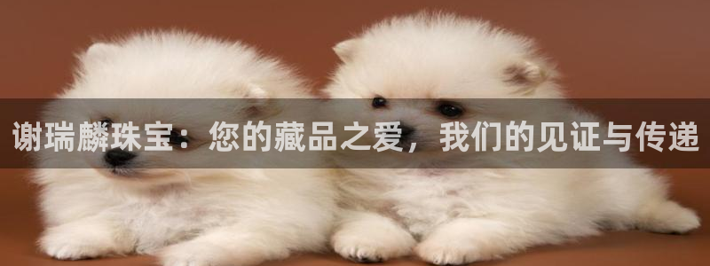 开丰娱乐登陆地址：谢瑞麟珠宝：您的藏品之爱，我们的见证与传递