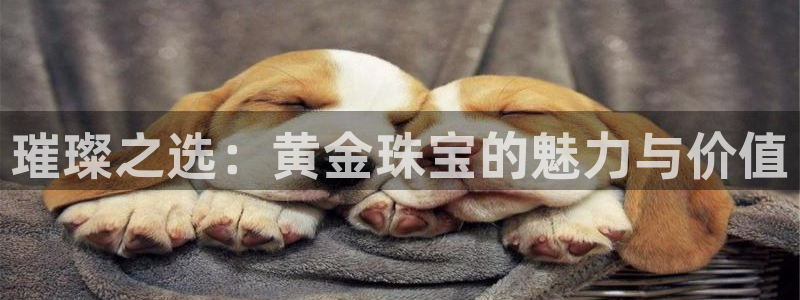 开丰娱乐登录地址入口：璀璨之选：黄金珠宝的魅力与价值