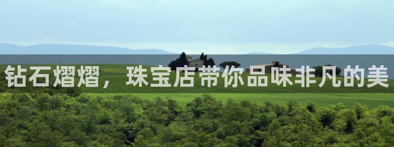 开丰娱乐平台地址查询：钻石熠熠，珠宝店带你品味非凡的美