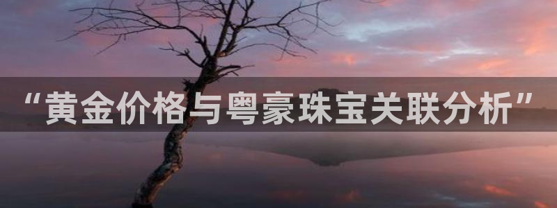 开丰娱乐登陆地址：“黄金价格与粤豪珠宝关联分析”