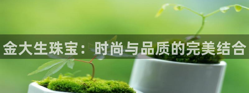 开丰娱乐后：金大生珠宝：时尚与品质的完美结合