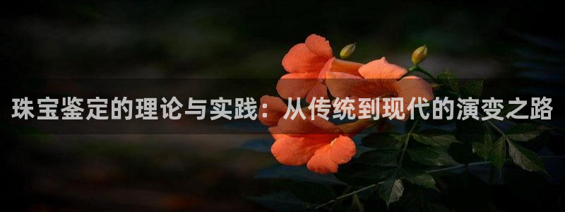 开丰娱乐登陆地址：珠宝鉴定的理论与实践：从传统到现代的演变之路