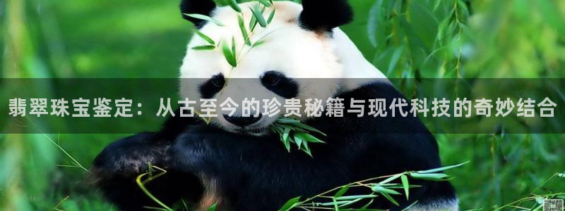 开丰娱乐登录地址入口：翡翠珠宝鉴定：从古至今的珍贵秘籍与现代科技的奇妙结合