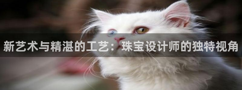 开丰娱乐联系q徽22212：新艺术与精湛的工艺：珠宝设计师的独特视角