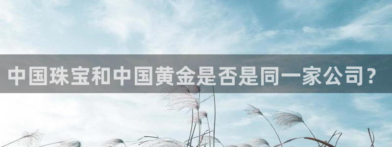 开丰娱乐科技：中国珠宝和中国黄金是否是同一家公司？