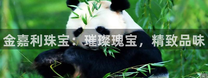 开丰娱乐除7O777：金嘉利珠宝：璀璨瑰宝，精致品味