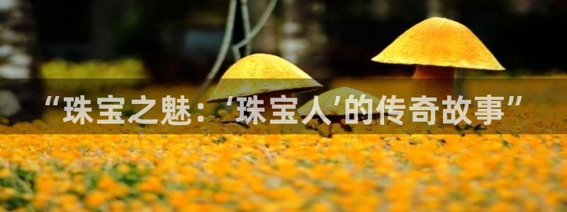 开丰娱乐千67五壹叁八