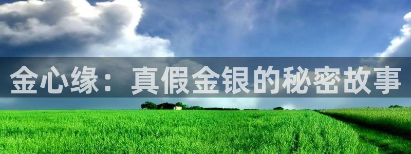 开丰娱乐左：金心缘：真假金银的秘密故事