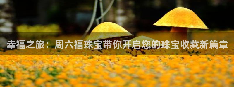 开丰娱乐月：幸福之旅：周六福珠宝带你开启您的珠宝收藏新篇章