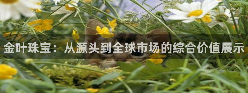 开丰娱乐最新活动：金叶珠宝：从源头到全球市场的综合价值展示