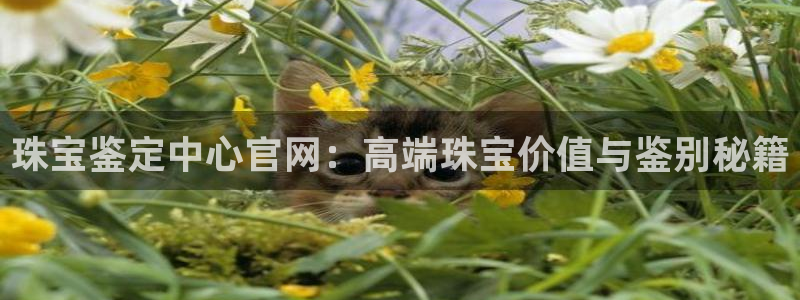 开丰娱乐下：珠宝鉴定中心官网：高端珠宝价值与鉴别秘籍