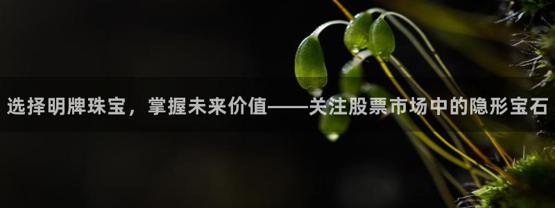 开丰娱乐平台注册：选择明牌珠宝，掌握未来价值——关注股票市场中的隐形宝石