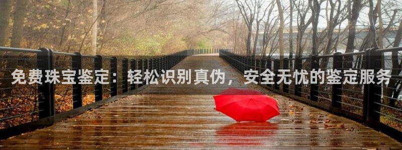 开丰娱乐新登录平台：免费珠宝鉴定：轻松识别真伪，安全无忧的鉴定服务