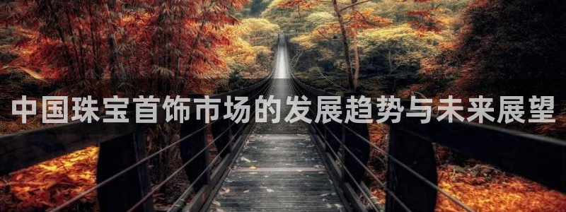 开丰娱乐趣 7O935：中国珠宝首饰市场的发展趋势与未来展望