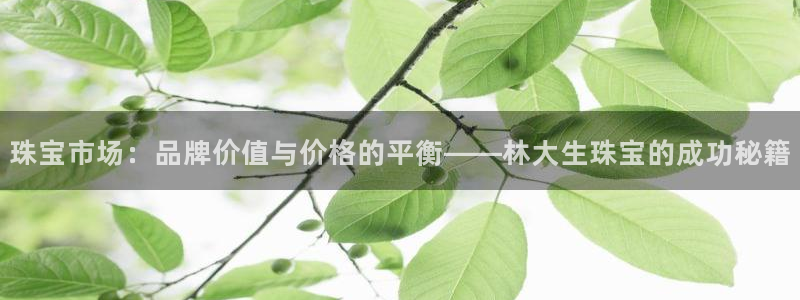 开丰娱乐于六七五一38：珠宝市场：品牌价值与价格的平衡——林大生珠宝的成功秘籍