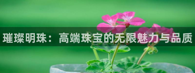 开丰娱乐巾67五壹叁八：璀璨明珠：高端珠宝的无限魅力与品质