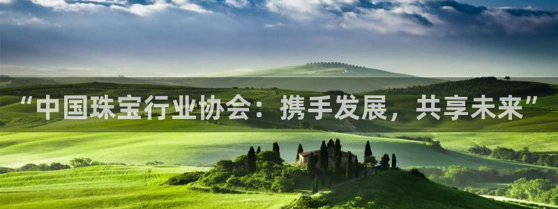 开丰娱乐平台登录网址：“中国珠宝行业协会：携手发展，共享未来”