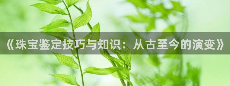 开丰娱乐登入地址在哪查：《珠宝鉴定技巧与知识：从古至今的演变》