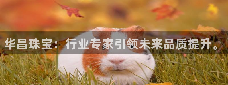开丰娱乐于六七五一38：华昌珠宝：行业专家引领未来品质提升。