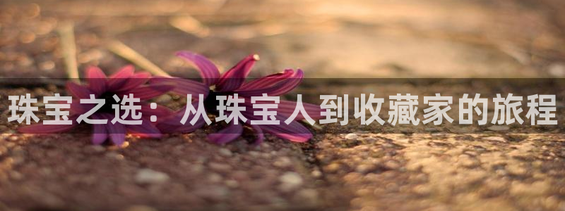开丰娱乐官方app：珠宝之选：从珠宝人到收藏家的旅程