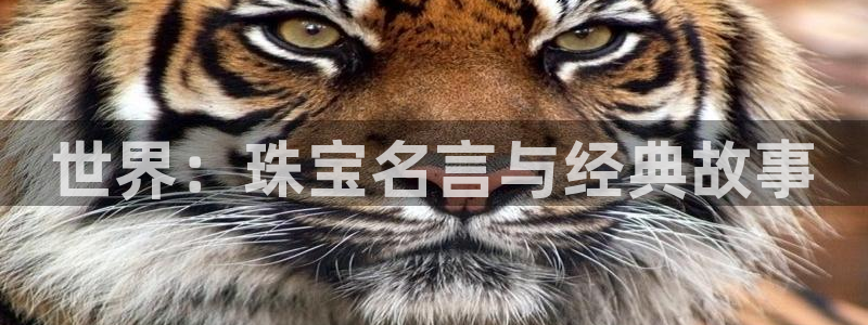 开丰娱乐怎么样：世界：珠宝名言与经典故事