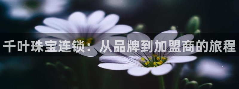开丰娱乐新登录平台：千叶珠宝连锁：从品牌到加盟商的旅程