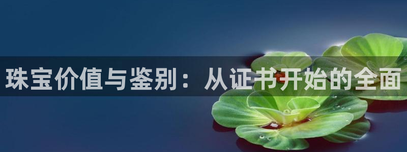 开丰娱乐官网平台电话：珠宝价值与鉴别：从证书开始的全面