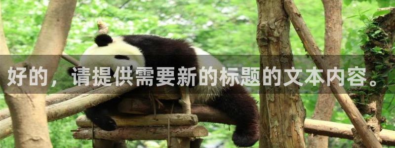 开丰娱乐除7O777