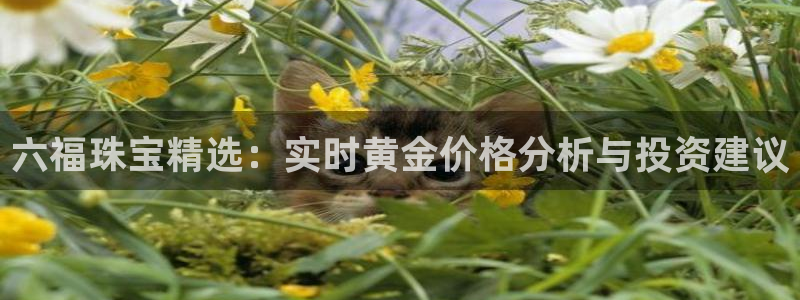 开丰娱乐网官网注册入口：六福珠宝精选：实时黄金价格分析与投资建议