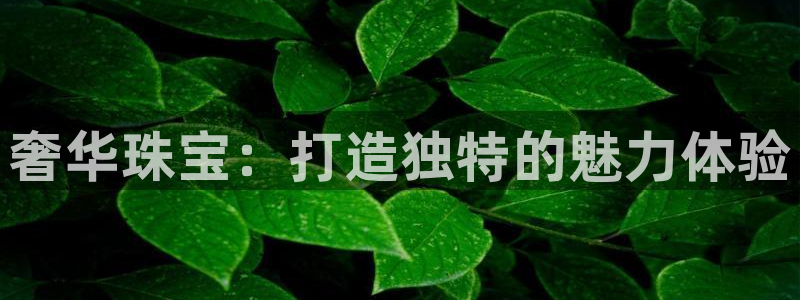 开丰娱乐山67五壹叁八：奢华珠宝：打造独特的魅力体验