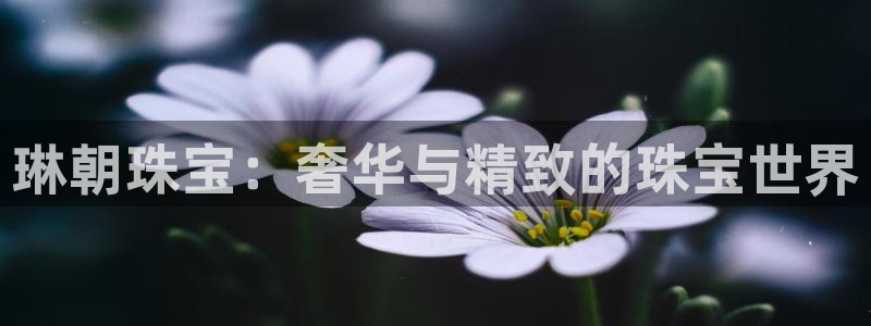 开丰娱乐登入地址是什么