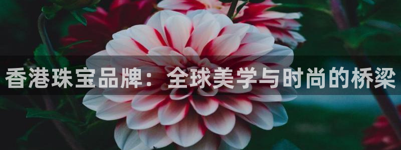 开丰娱乐下