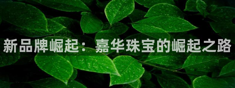 开丰娱乐官网电话